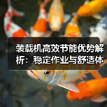 装载机高效节能优势解析:稳定作业与舒适体验如何实现?(图4) 装载机高效节能优势解析:稳定作业与舒适体验如何实现?(图4)