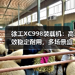 徐工XC998装载机:高效稳定耐用,多场景应对的可靠利器(图2) 徐工XC998装载机:高效稳定耐用,多场景应对的可靠利器(图2)