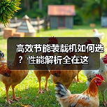 高效节能装载机如何选？性能解析全在这（图1）