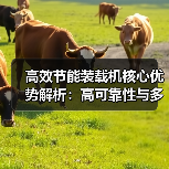 高效节能装载机核心优势解析：高可靠性与多功能性（图2）