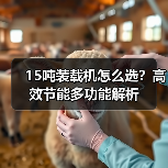 15吨装载机怎么选?高效节能多功能解析(图3) 15吨装载机怎么选?高效节能多功能解析(图3)
