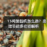 15吨装载机怎么选?高效节能多功能解析(图4) 15吨装载机怎么选?高效节能多功能解析(图4)
