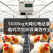 5800kg大吨位电动装载机节能环保高效作业解析(图4) 5800kg大吨位电动装载机节能环保高效作业解析(图4)