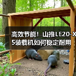 高效节能！山推LE20-X5装载机如何稳定耐用？（图4）