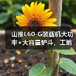 山推L60-G装载机大功率+大容量铲斗,工地效率翻倍?(图1) 山推L60-G装载机大功率+大容量铲斗,工地效率翻倍?(图1)