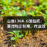 山推L36K-G装载机：高效稳定耐用，作业效率提升关键（图1）