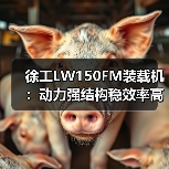 徐工LW150FM装载机:动力强结构稳效率高 施工首选(图2) 徐工LW150FM装载机:动力强结构稳效率高 施工首选(图2)