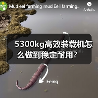 5300kg高效装载机怎么做到稳定耐用?(图2) 5300kg高效装载机怎么做到稳定耐用?(图2)