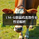 L56-G装载机高效作业性能解析(图1) L56-G装载机高效作业性能解析(图1)