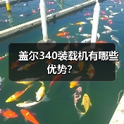 盖尔340装载机有哪些优势?(图1) 盖尔340装载机有哪些优势?(图1)