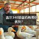 盖尔340装载机有哪些优势?(图2) 盖尔340装载机有哪些优势?(图2)