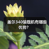 盖尔340装载机有哪些优势?(图3) 盖尔340装载机有哪些优势?(图3)