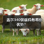 盖尔340装载机有哪些优势?(图4) 盖尔340装载机有哪些优势?(图4)