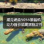 威克诺森5055装载机:动力强节能高效稳定性强为何成首选(图2) 威克诺森5055装载机:动力强节能高效稳定性强为何成首选(图2)
