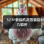 521F装载机高效装载能力解析(图3) 521F装载机高效装载能力解析(图3)