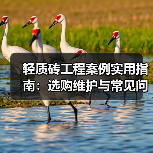 轻质砖工程案例实用指南:选购维护与常见问题解析2026(图3) 轻质砖工程案例实用指南:选购维护与常见问题解析2026(图3)