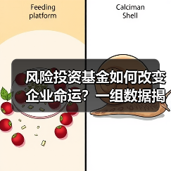 风险投资基金如何改变企业命运?一组数据揭示87.3%的颠覆性创新背后推手(图4) 风险投资基金如何改变企业命运?一组数据揭示87.3%的颠覆性创新背后推手(图4)