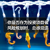 你是否在为投资项目做风险规划时，总感觉遗漏了什么？（图2）