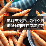 电解液投资:为什么产能过剩却还在疯狂扩产?从“供需错配”陷阱到价值投资逻辑的重塑(图2) 电解液投资:为什么产能过剩却还在疯狂扩产?从“供需错配”陷阱到价值投资逻辑的重塑(图2)