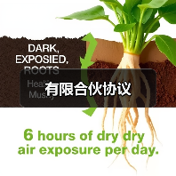 有限合伙协议