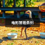 电影管理条例