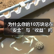 为什么你的10万块总在“安全”与“收益”间反复拉扯?——一个关于投资风险的深度拆解(图2) 为什么你的10万块总在“安全”与“收益”间反复拉扯?——一个关于投资风险的深度拆解(图2)