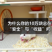 为什么你的10万块总在“安全”与“收益”间反复拉扯?——一个关于投资风险的深度拆解(图3) 为什么你的10万块总在“安全”与“收益”间反复拉扯?——一个关于投资风险的深度拆解(图3)
