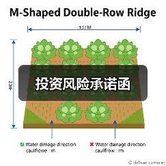 投资风险承诺函(图4) 投资风险承诺函(图4)