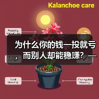 为什么你的钱一投就亏,而别人却能稳赚?——破解投资中的“道德风险”陷阱(图3) 为什么你的钱一投就亏,而别人却能稳赚?——破解投资中的“道德风险”陷阱(图3)
