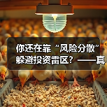你还在靠“风险分散”躲避投资雷区？——真正的风控高手其实从不依赖分散投资（图2）