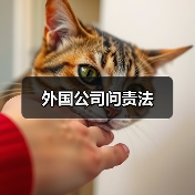 外国公司问责法(图1) 外国公司问责法(图1)