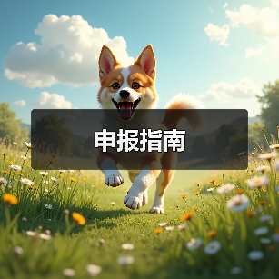 申报指南（图2）