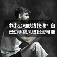 中小公司缺钱找谁？自己动手搞风险投资可能吗？（图3）