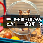 中小企业拿不到投资怎么办？——钱在哪，怎么要，这四步帮你理清楚（图4）