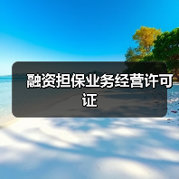 融资担保业务经营许可证（图1）