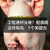 工程选材头疼？轻质砖选择指南：5个关键方法与注意事项