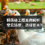 轻质砖工程案例解析:常见场景、选择要点与注意事项(图4) 轻质砖工程案例解析:常见场景、选择要点与注意事项(图4)