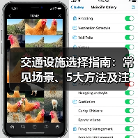 交通设施选择指南：常见场景、5大方法及注意事项